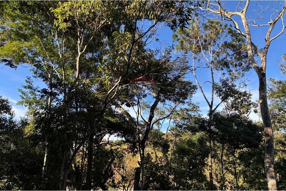 Terreno - Venda - Juiz de Fora , Minas Gerais - WhatsApp Image 2025-05-28 at 20.54.31 (11).jpeg - 860301015-176