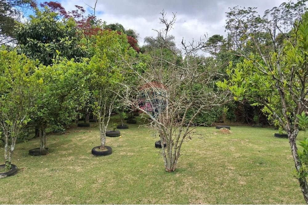 Chácara / Sítio / Fazenda - Venda - Juiz de Fora , Minas Gerais - WhatsApp Image 2025-11-18 at 21.05.24.jpeg - 860281098-63