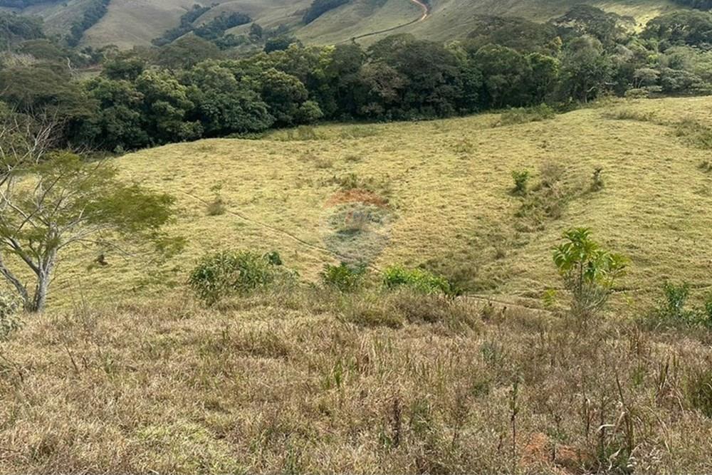 Chácara / Sítio / Fazenda - Venda - Lima Duarte , Minas Gerais - 1b4e72f8-60fd-490b-810b-11c6f5f8916a.JPG - 860291033-133