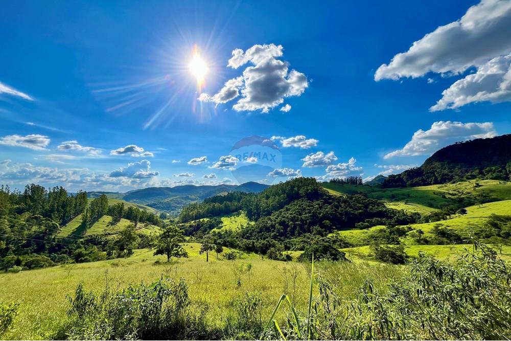 Chácara / Sítio / Fazenda - Alugar - Matias Barbosa , Minas Gerais - IMG_2071.jpeg - Quintal - 860501020-41