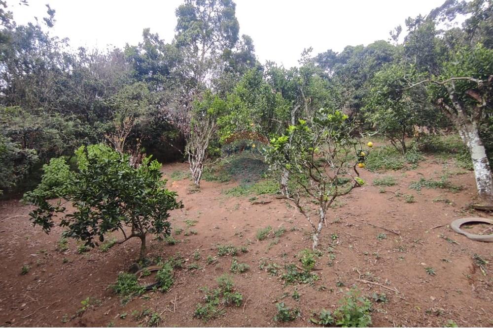 Casa - Venda - Juiz de Fora , Minas Gerais - 39.jpg - 860321050-10