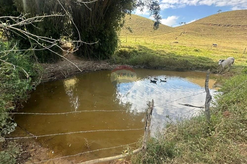 Chácara / Sítio / Fazenda - Venda - Lima Duarte , Minas Gerais - 038090c0-ce4b-491b-9ec3-cb5bc3e56744.JPG - 860291033-133