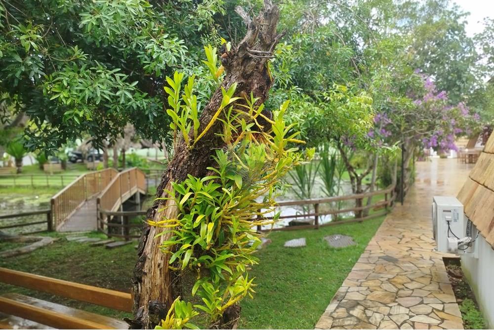 Hotel/ Pousada - Venda - Tiradentes , Minas Gerais - IMG_20250131_115208.jpg - 860391012-33