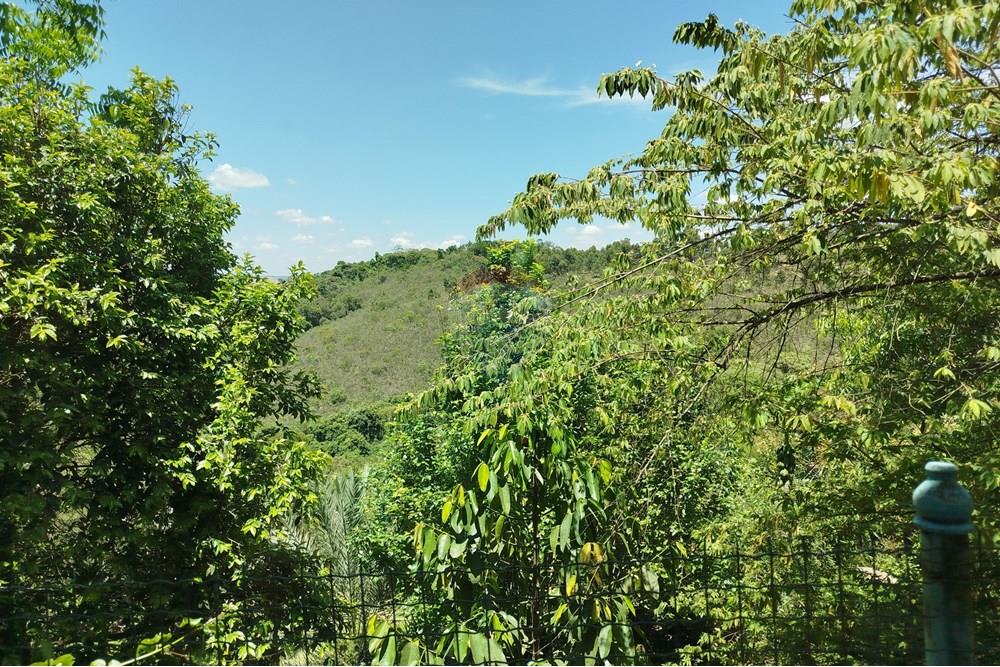 Chácara / Sítio / Fazenda - Venda - Barbacena , Minas Gerais - IMG_20251112_105637.jpg - 860391028-24