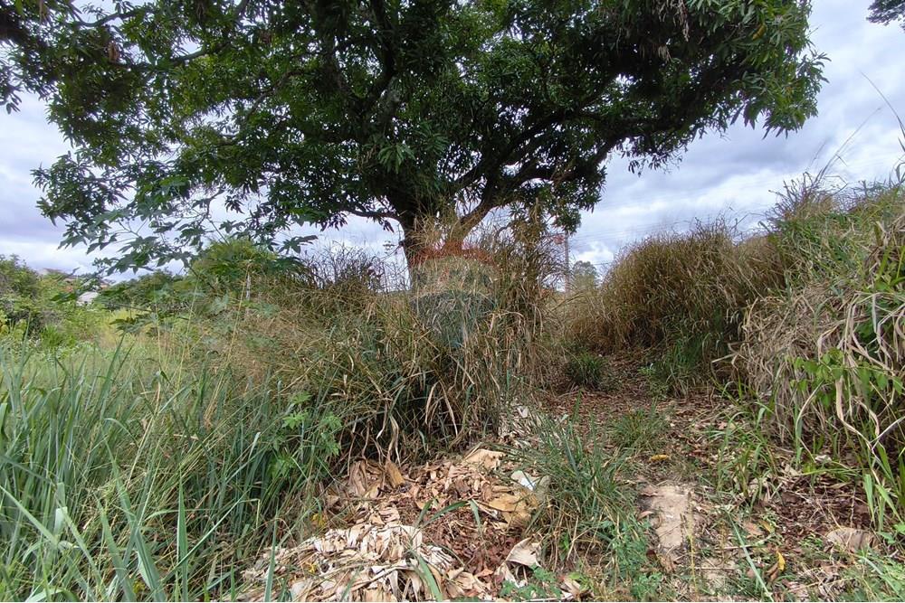 Terreno - Venda - Ribeirão Vermelho , Minas Gerais - IMG_20251019_134021.jpg - 860471037-17