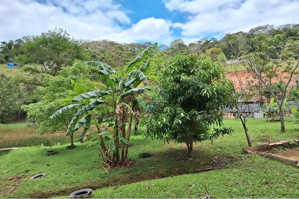 Chácara / Sítio / Fazenda - Venda - Juiz de Fora , Minas Gerais - WhatsApp Image 2025-11-18 at 21.05.14.jpeg - 860281098-63