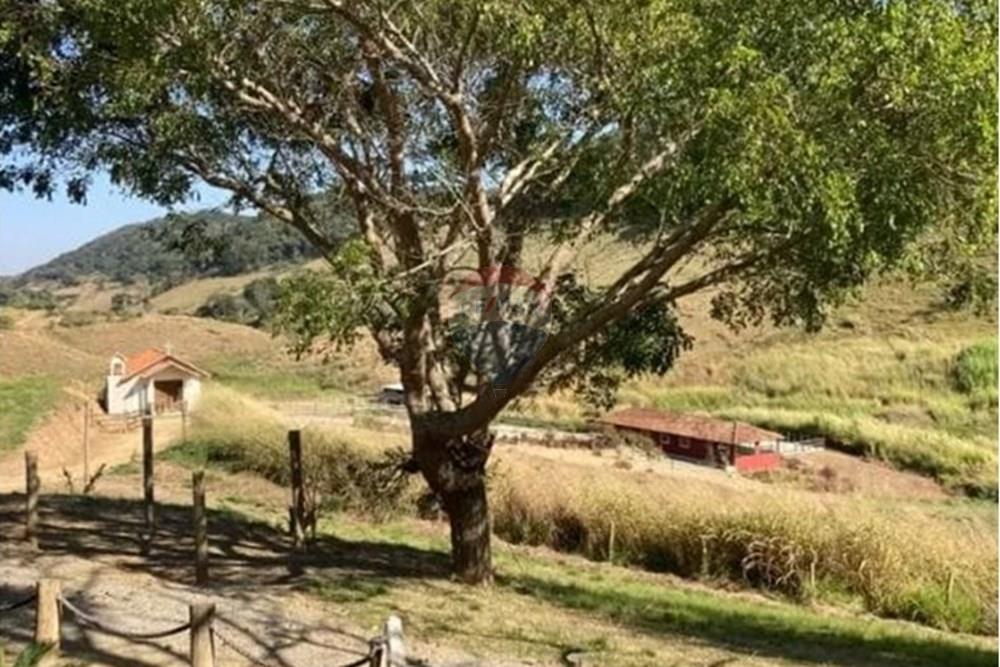Chácara / Sítio / Fazenda - Venda - Vassouras , Rio de Janeiro - 37.jpeg - 860501034-32