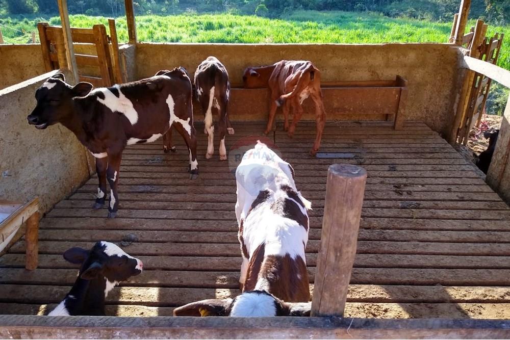 Chácara / Sítio / Fazenda - Venda - Juiz de Fora , Minas Gerais - ee1aaaad-8302-4f40-9ed3-fe0e0c4124fd.JPG - 860291033-68