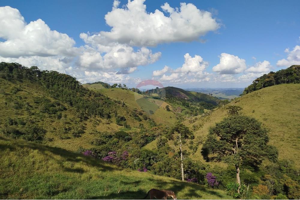 Fazenda - Venda - Barbacena , Minas Gerais - IMG_20250402_150055.jpg - 860391012-32
