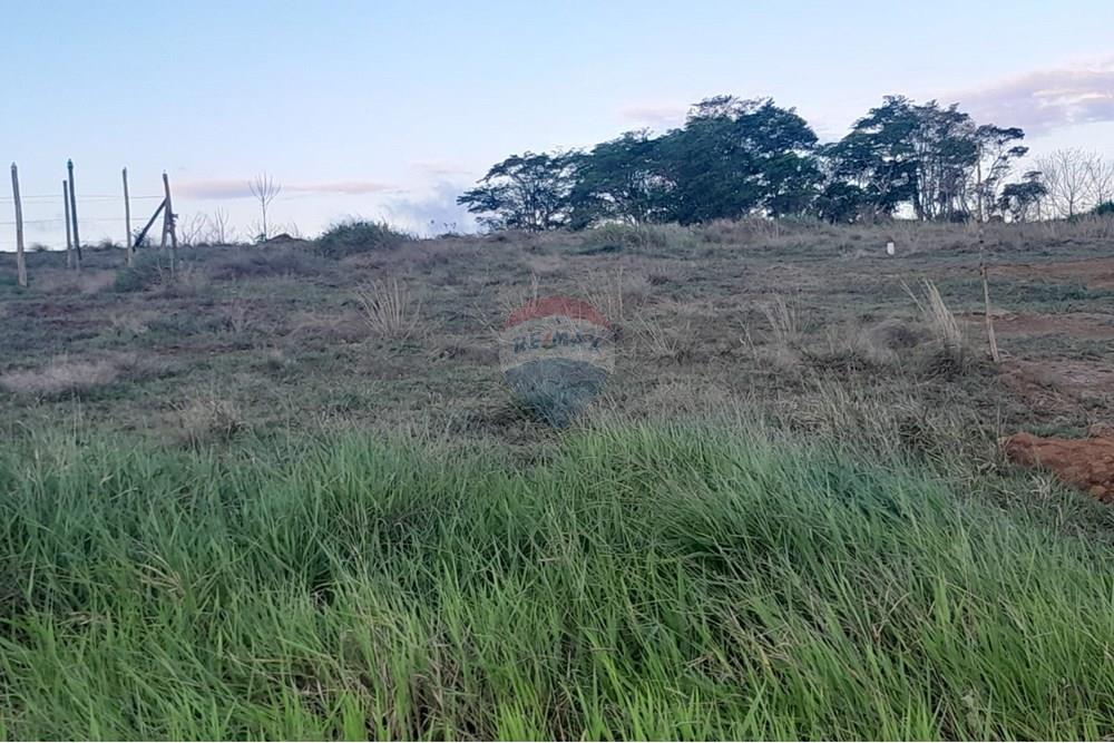 Terreno - Venda - Matias Barbosa , Minas Gerais - WhatsApp Image 2025-05-01 at 20.28.07.jpeg - Quarto de família - 860381043-64