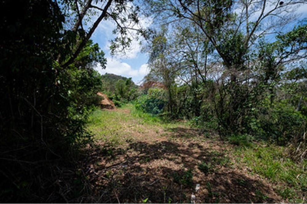 Terreno - Venda - Juiz de Fora , Minas Gerais - saogeraldo2.jpg - 860271016-9