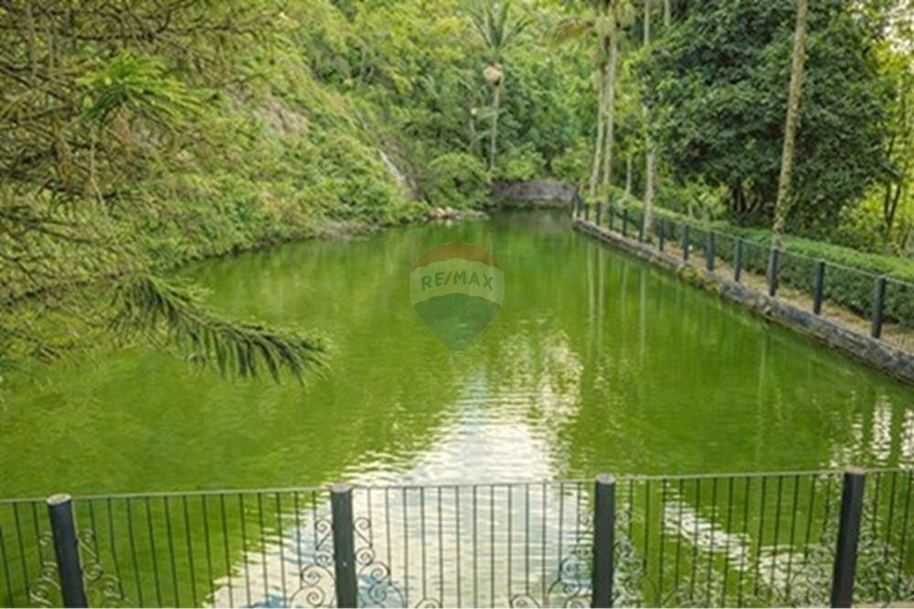 Apartamento - Venda - Juiz de Fora , Minas Gerais - L_49c48f90-9b53-4327-9d0a-a3f890173152.jpg - 860431060-95