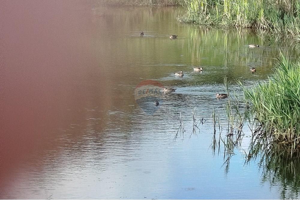 Fazenda - Venda - Barbacena , Minas Gerais - IMG_20250421_162005.jpg - 860391012-32