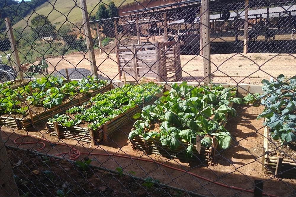Chácara / Sítio / Fazenda - Venda - Juiz de Fora , Minas Gerais - 18a4ede7-890a-4b53-8121-ef94e8c2e813.JPG - 860291033-68