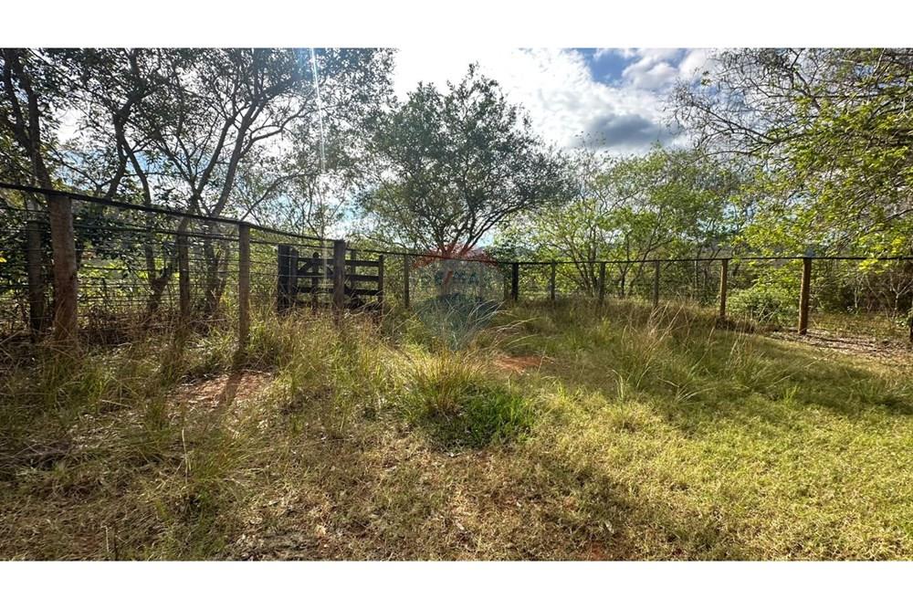 Chácara / Sítio / Fazenda - Venda - Cantagalo , Rio de Janeiro - 75cecfd0-a9ec-42bd-b0c7-c1fbdfb2f9a5.JPG - 860291041-3