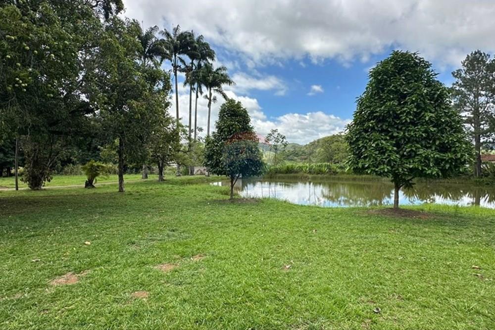 Chácara / Sítio / Fazenda - Venda - Piau , Minas Gerais - 81ec5085-a875-4124-9a2c-5babcdfa060f.JPG - 860291033-129
