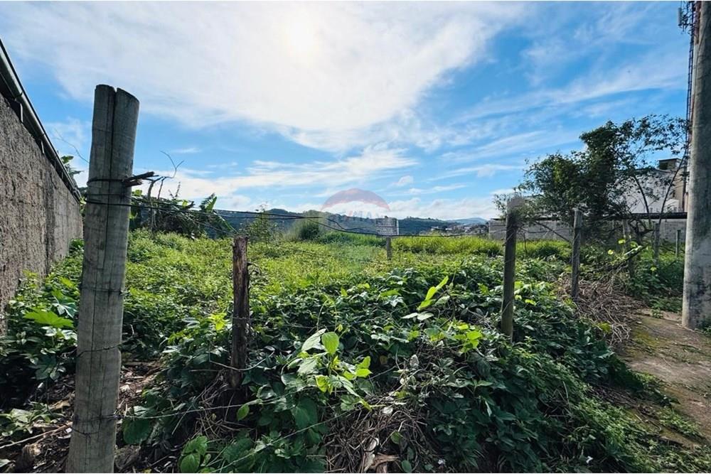 Terreno - Venda - Juiz de Fora , Minas Gerais - c19065c8-e1f4-4cbd-9654-a4319c732e19.jpg - 860211053-57