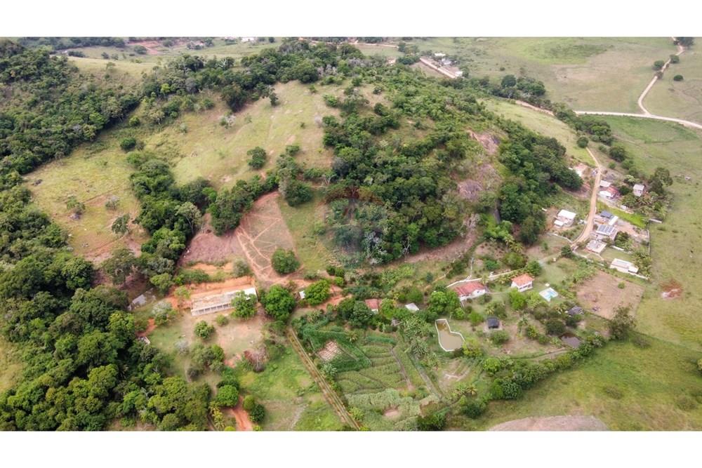 Chácara / Sítio / Fazenda - Venda - Muriaé , Minas Gerais - IMG-20250316-WA0101.jpg - 860371002-116