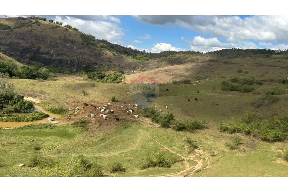 Chácara / Sítio / Fazenda - Venda - Cantagalo , Rio de Janeiro - d4d20d27-4a28-4c2e-9147-00cf26212d38.JPG - 860291041-3