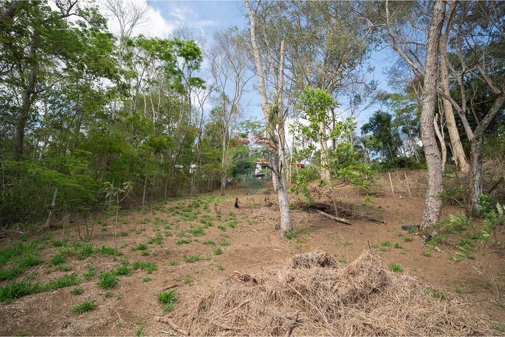 Terreno - Venda - Juiz de Fora , Minas Gerais - michaelseed photo_1103-12.jpg - 860211074-39