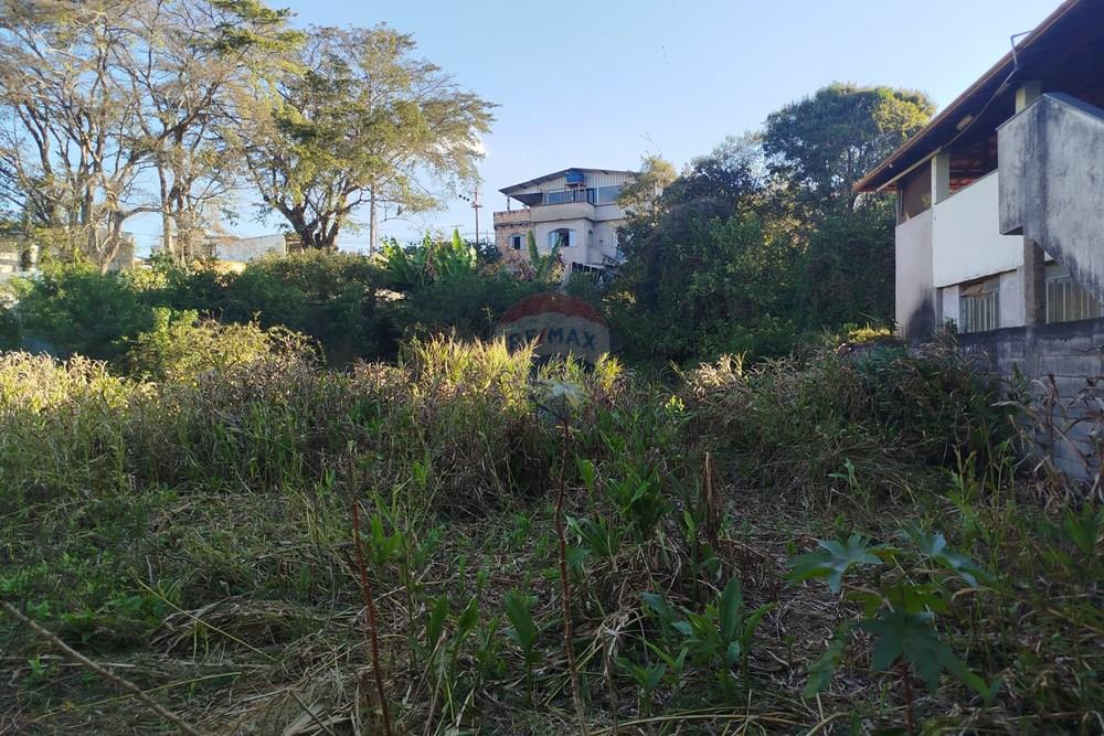 Terreno - Venda - Barbacena , Minas Gerais - 1754922170420.jpg - 860391012-42