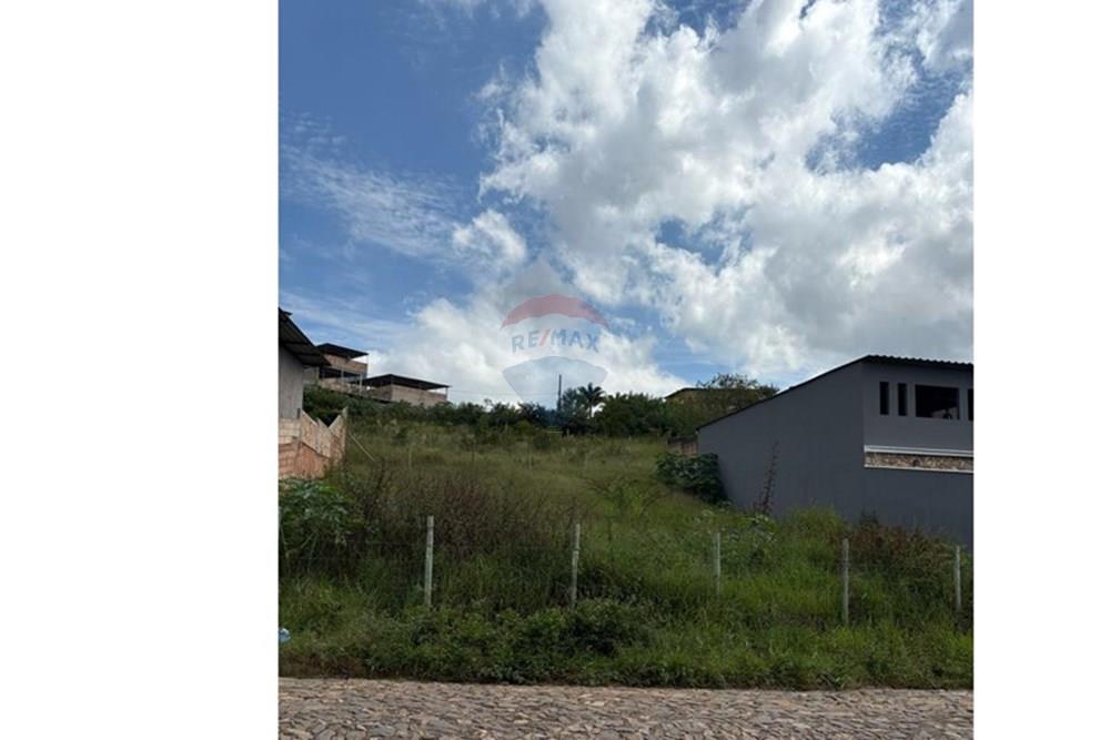 Terreno - Venda - Conselheiro Lafaiete , Minas Gerais - 19b978d1-3a32-4043-80fe-72b85437617b.jpeg - 860421022-100