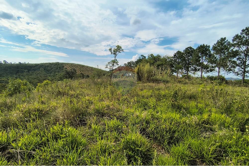 Terreno - Venda - Barbacena , Minas Gerais - IMG_20251029_144756166_HDR.jpg - 860391007-46