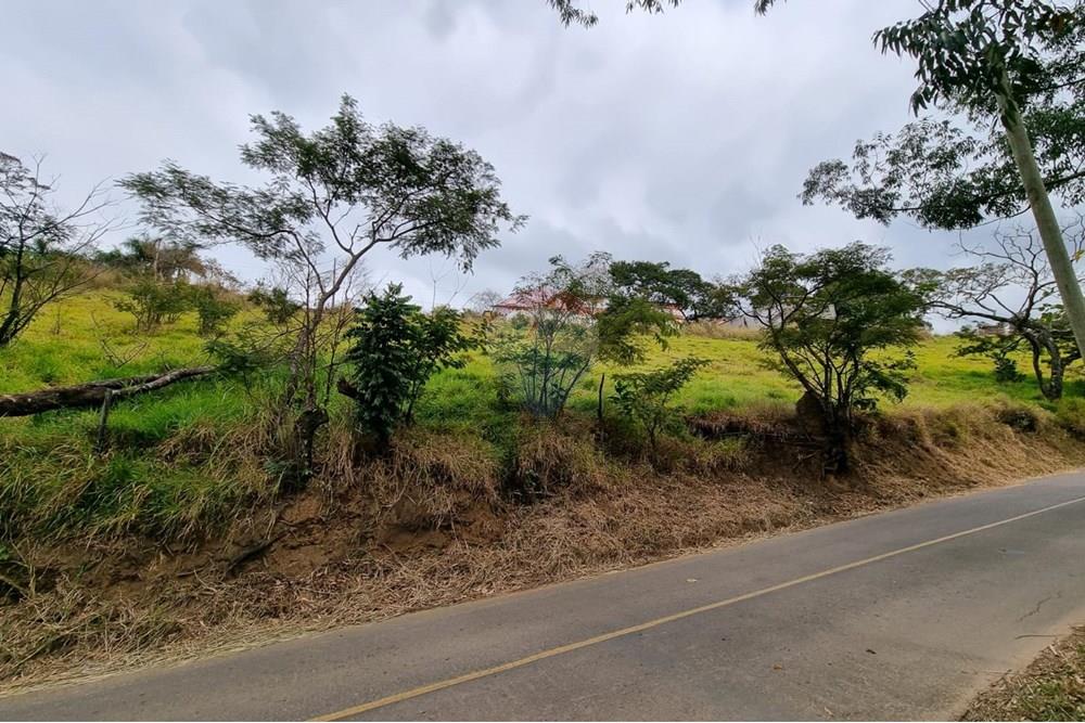 Terreno - Venda - Juiz de Fora , Minas Gerais - IMG-20250729-WA0007.jpg - 860211131-9