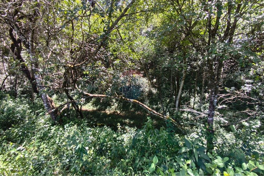 Chácara / Sítio / Fazenda - Venda - Lavras , Minas Gerais - WhatsApp Image 2026-04-08 at 17.33.25.jpeg - 860471037-28