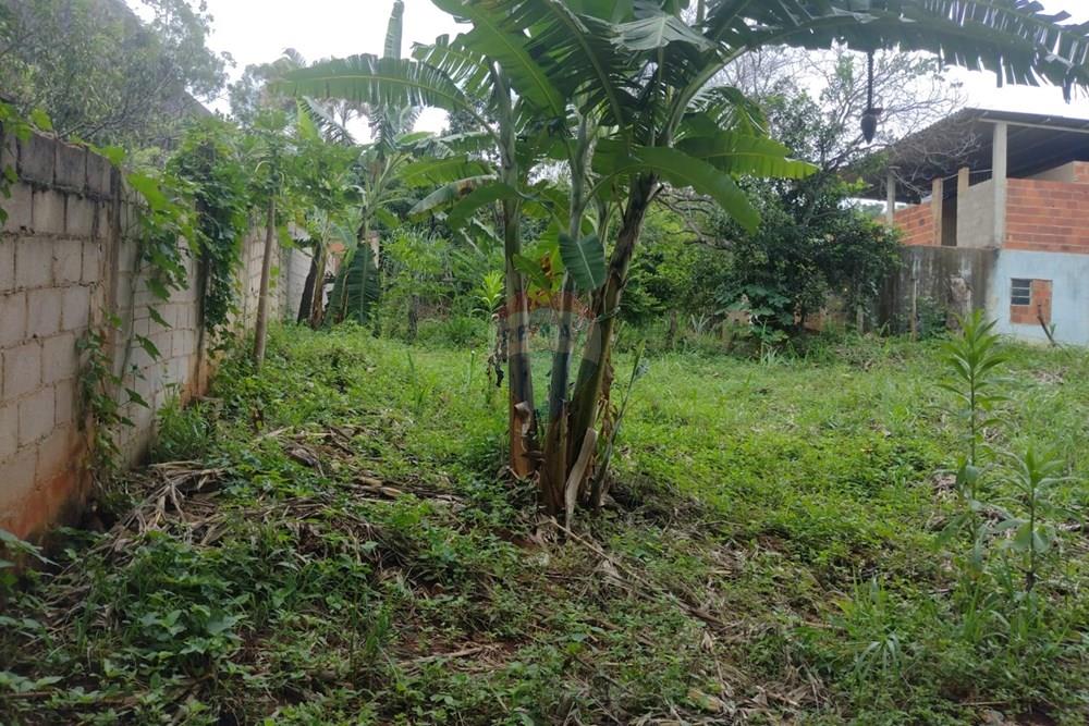 Terreno - Venda - Carangola , Minas Gerais - 1000099430.jpg - 860501015-91