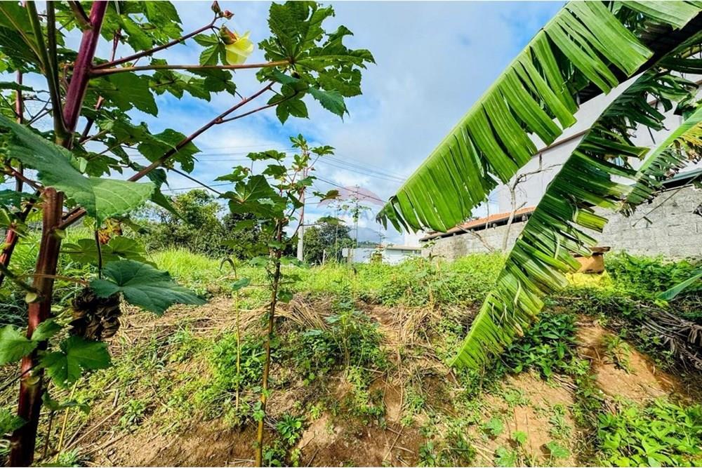 Terreno - Venda - Juiz de Fora , Minas Gerais - 5a9d3dcf-24e3-4f77-9f3b-b38e6d9034fd.jpg - 860211053-57