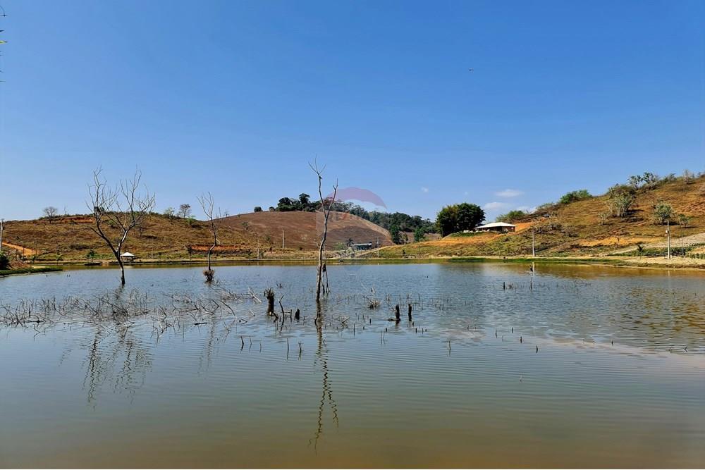 Chácara / Sítio / Fazenda - Venda - Patrocínio do Muriaé , Minas Gerais - 1000322321.jpg - 860371002-115