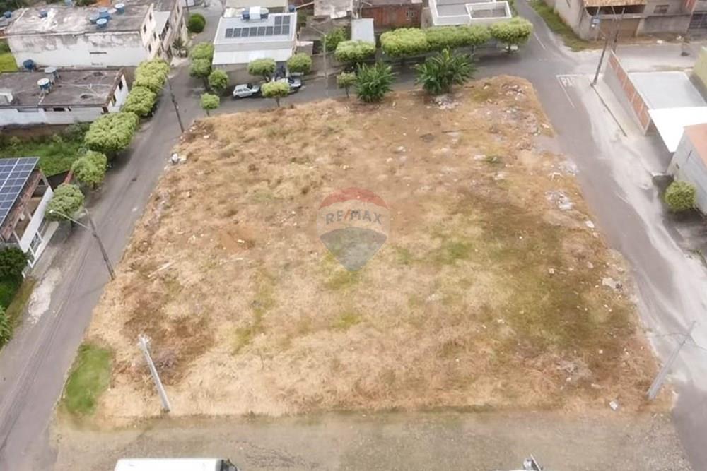 Terreno - Alugar - Muriaé , Minas Gerais - IMG-20260107-WA0030.jpg - 860371029-19