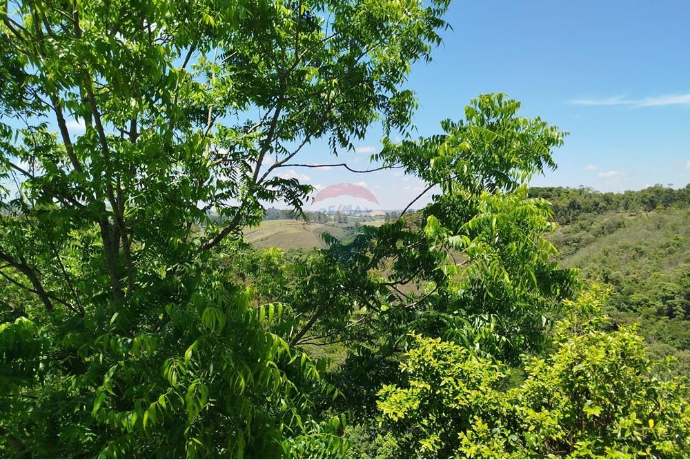 Chácara / Sítio / Fazenda - Venda - Barbacena , Minas Gerais - IMG_20251112_104946.jpg - 860391028-24