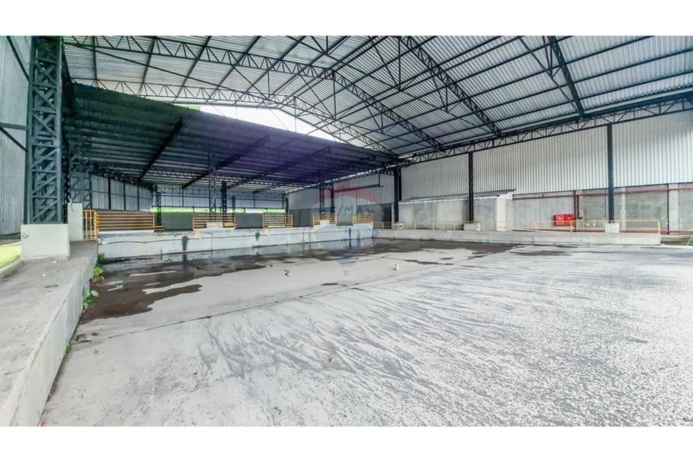 Galpão - Alugar - Juiz de Fora , Minas Gerais - 20260311_114259.jpg - 860301048-44