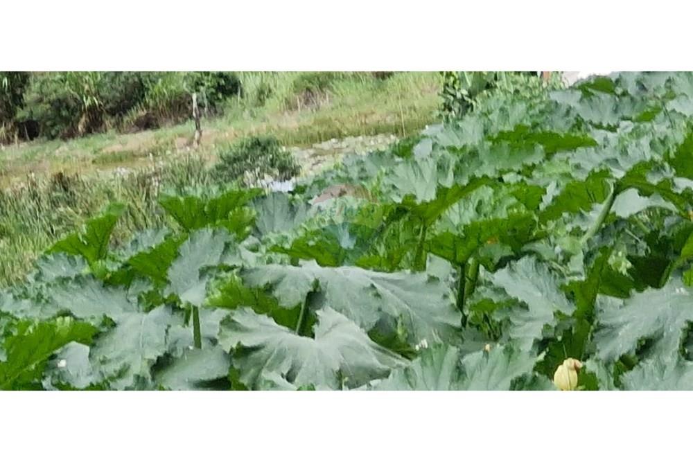 Terreno - Venda - Barbacena , Minas Gerais - WhatsApp Image 2025-01-24 at 11.32.48 (1).jpeg - 860391020-35