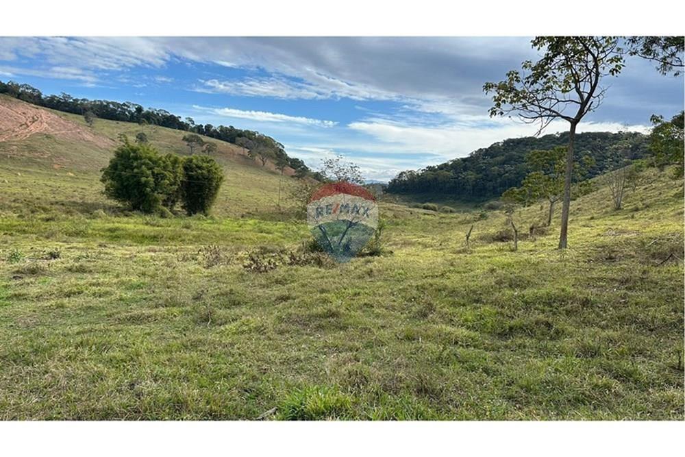 Chácara / Sítio / Fazenda - Venda - Lamim , Minas Gerais - L_61a7d9d9-8130-4580-86fa-0ddf00a8ab38.jpg - 860291033-108
