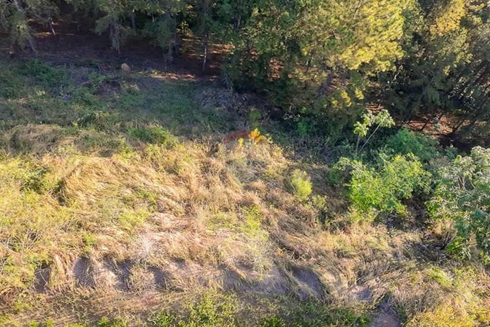 Terreno - Venda - Matias Barbosa , Minas Gerais - michaelseed.photo_SEMANA 2 11-385.jpg - 860361050-63