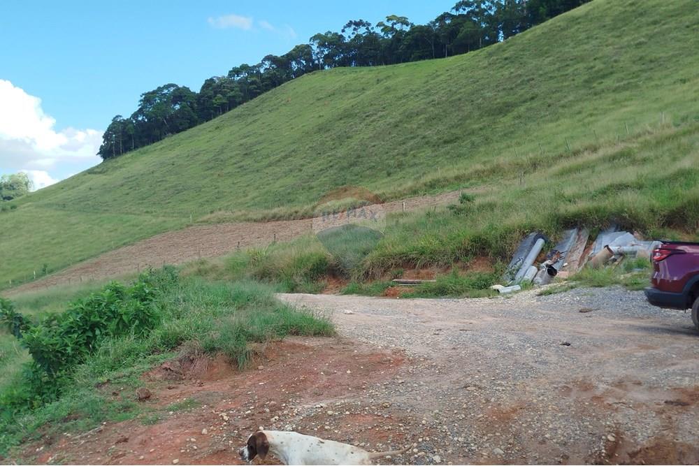 Fazenda - Venda - Barbacena , Minas Gerais - IMG_20250402_144244.jpg - 860391012-32