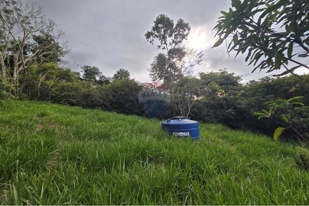 Chácara / Sítio / Fazenda - Venda - Juiz de Fora , Minas Gerais - 40.jpg - 860381070-74