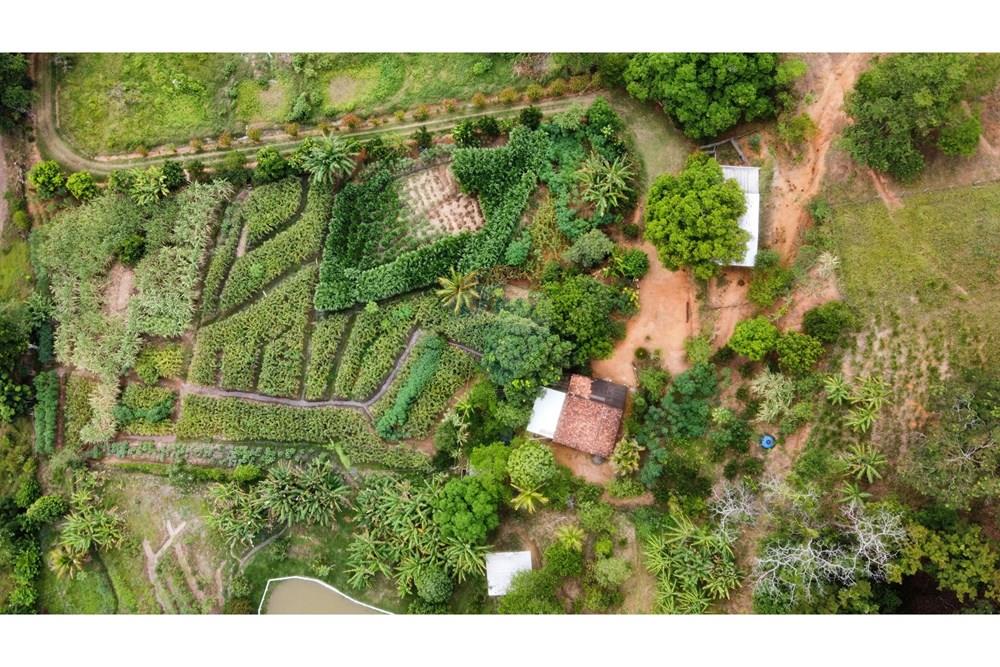 Chácara / Sítio / Fazenda - Venda - Muriaé , Minas Gerais - IMG-20250316-WA0123.jpg - 860371002-116