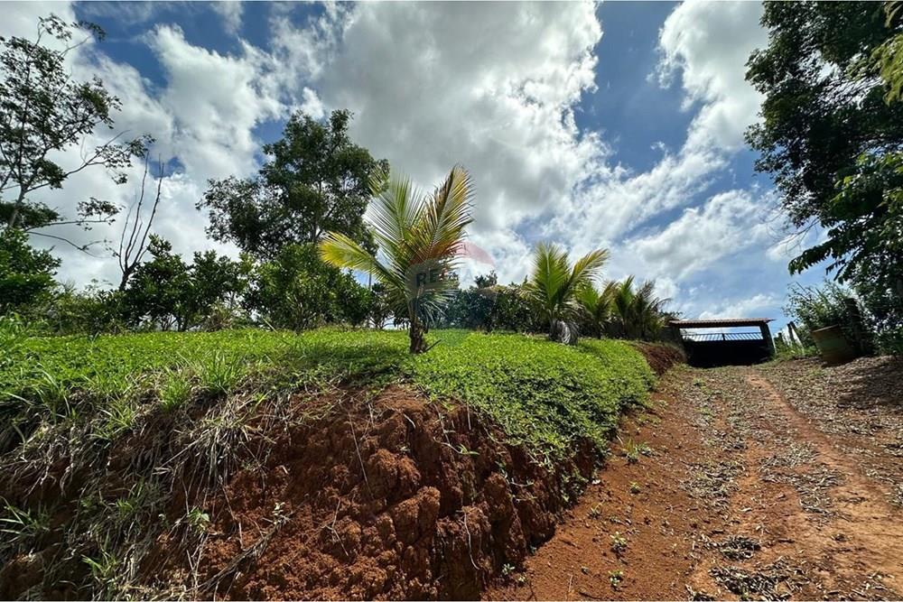 Chácara / Sítio / Fazenda - Venda - Muriaé , Minas Gerais - WhatsApp Image 2026-01-27 at 13.54.08 (4).jpeg - 860371007-116