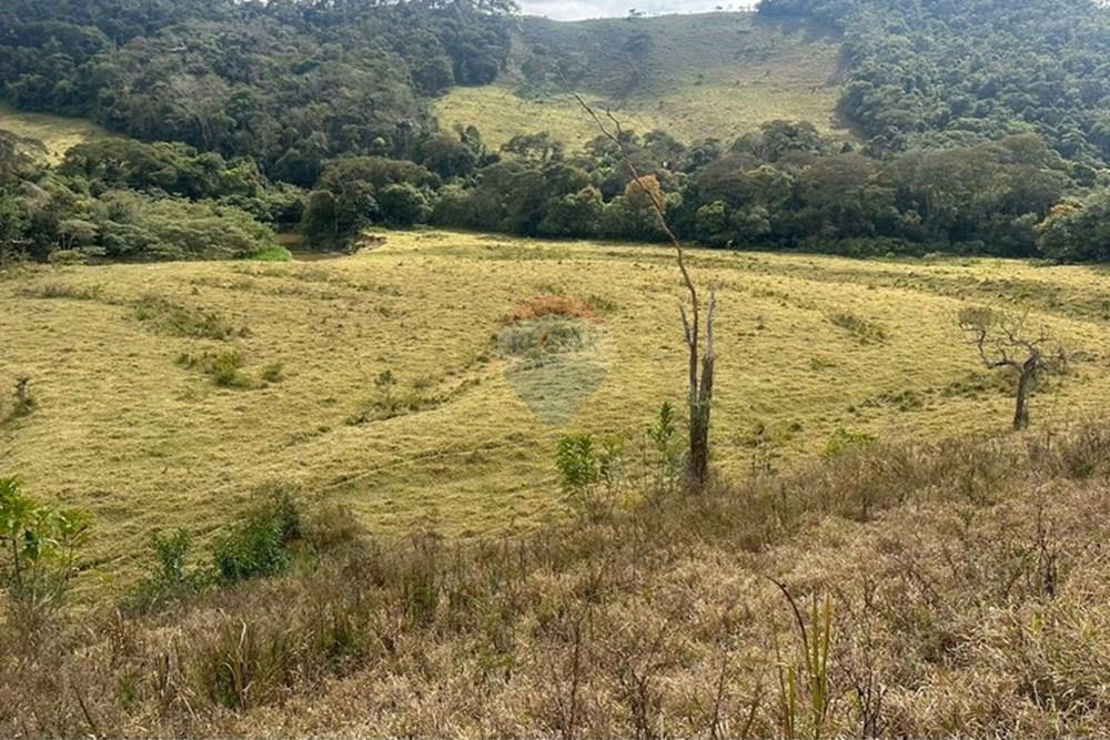 Chácara / Sítio / Fazenda - Venda - Lima Duarte , Minas Gerais - 8e027b04-43d0-48ff-aeb5-3ac8c309d735.JPG - 860291033-133