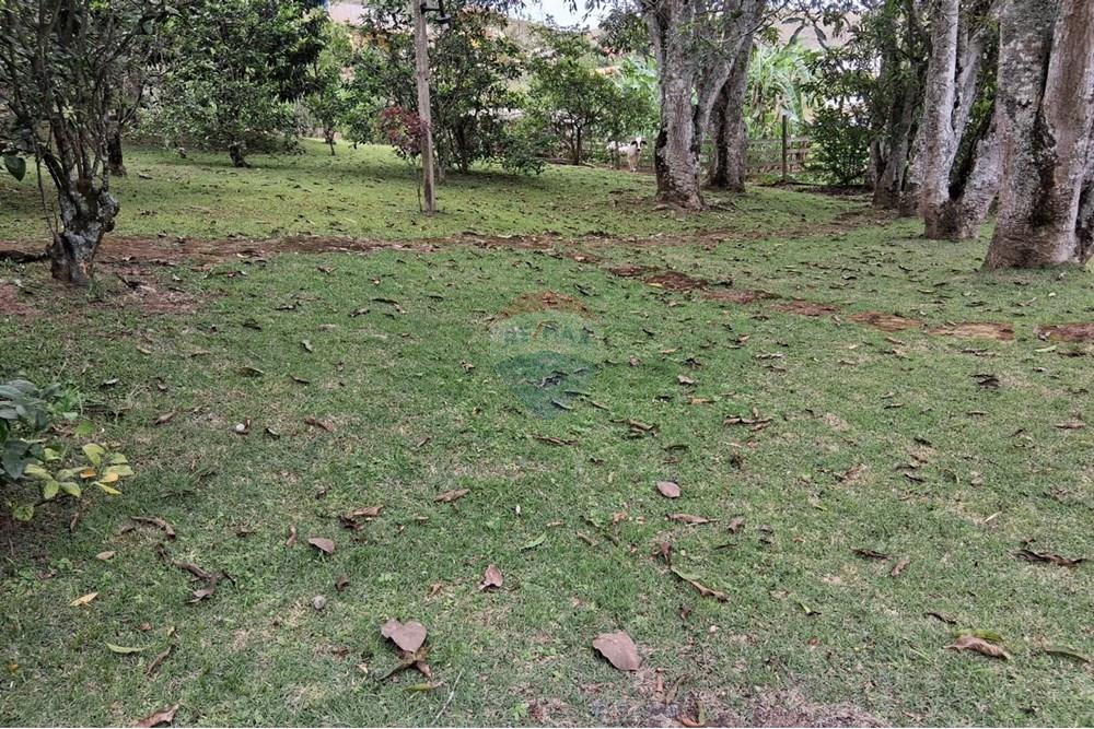 Chácara / Sítio / Fazenda - Venda - Juiz de Fora , Minas Gerais - WhatsApp Image 2025-11-18 at 21.05.48.jpeg - 860281098-63