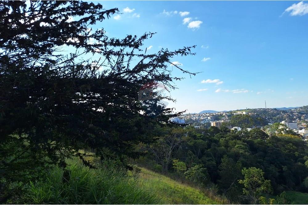 Terreno - Venda - Juiz de Fora , Minas Gerais - Vista Lote 4.jpeg - 860361010-454