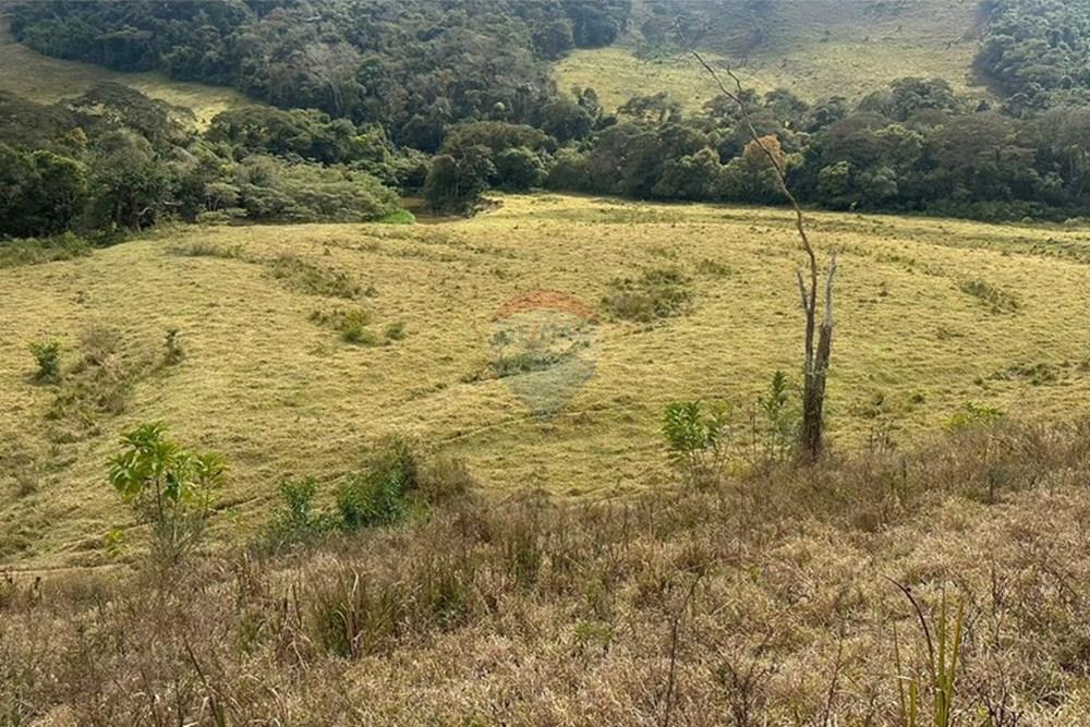 Chácara / Sítio / Fazenda - Venda - Lima Duarte , Minas Gerais - 68f2997c-2d34-44e7-9e26-29a5d3a7b4d4.JPG - 860291033-133