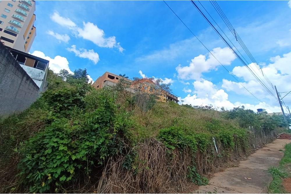 Terreno - Venda - Conselheiro Lafaiete , Minas Gerais - 5ffa0644-8278-4087-8496-94d6cc021c38.jpeg - 860421022-164