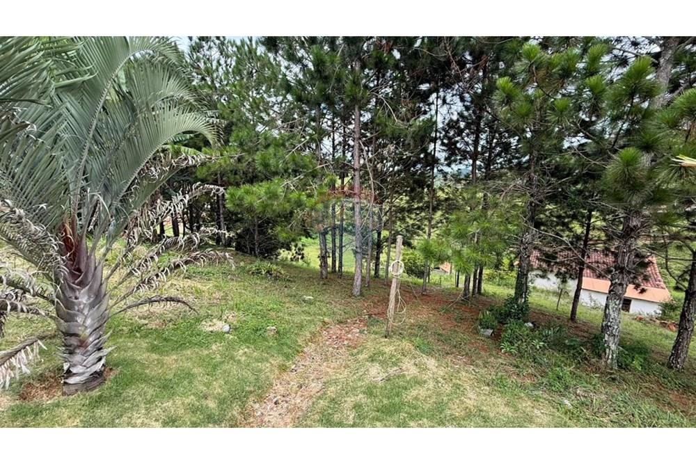 Chácara / Sítio / Fazenda - Venda - Lima Duarte , Minas Gerais - WhatsApp Image 2026-02-09 at 07.47.10.jpeg - 860271019-33