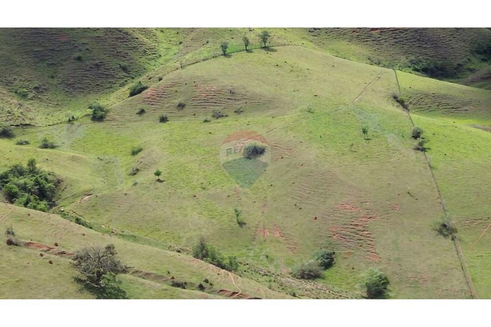 Agro - Venda - Rochedo de Minas , Minas Gerais - c065e284-8b76-486b-a85d-c87b24b1103f.JPG - 860291041-34