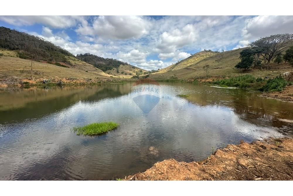Chácara / Sítio / Fazenda - Venda - Leopoldina , Minas Gerais - WhatsApp Image 2025-09-22 at 10.32.45 (3).jpeg - 860291033-118